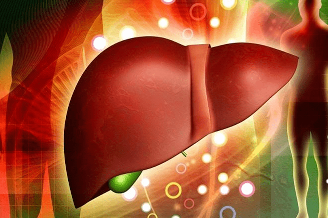 The action of drugs for potency in the liver