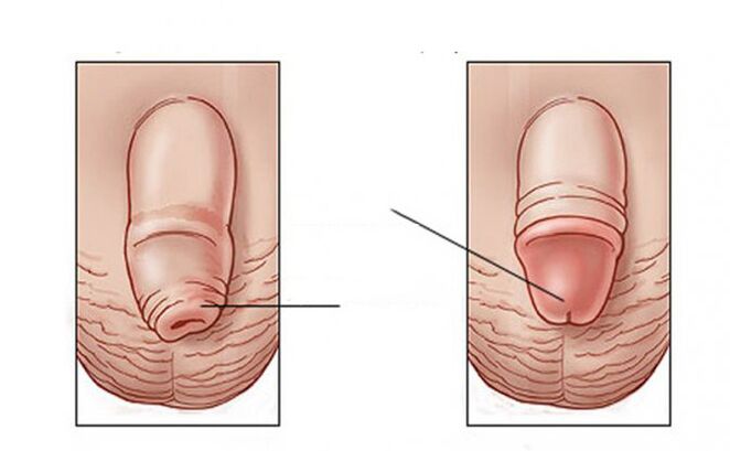 What task the lubricants perform